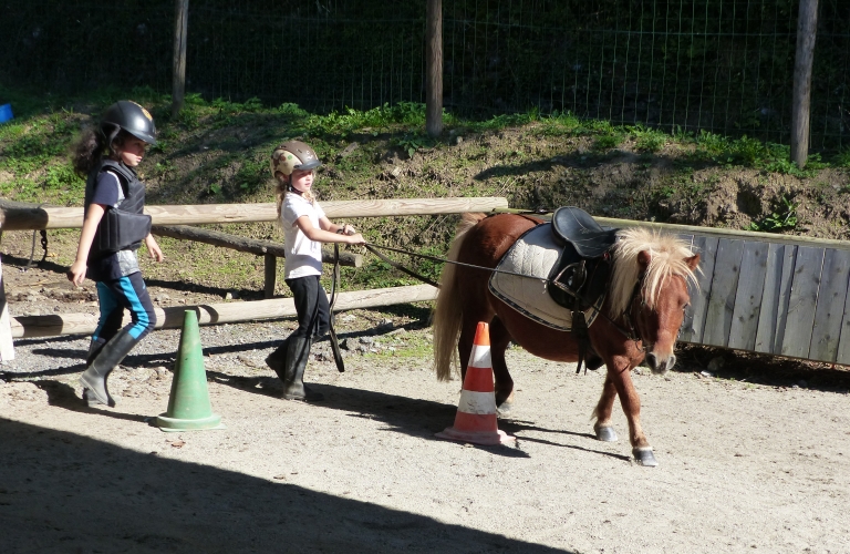 Stage : à la découverte de l&#039;équitation