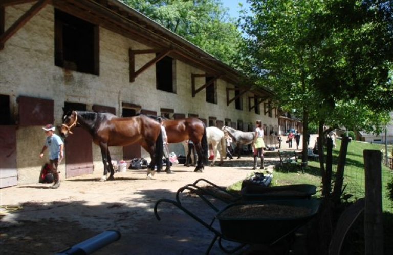 Stage d'équitation au Centre Équestre du Moulin