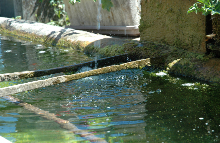 Fontaine Passins - OTSI Morestel