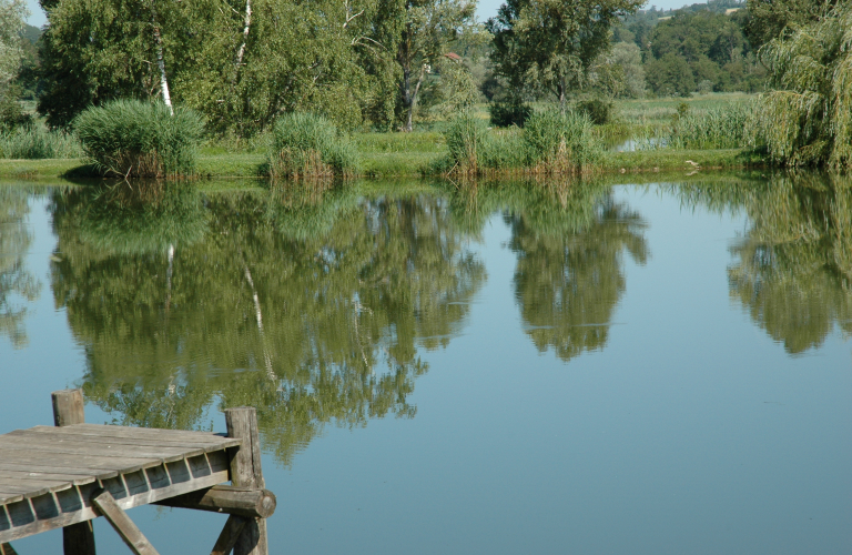 Etangs de Vasselin