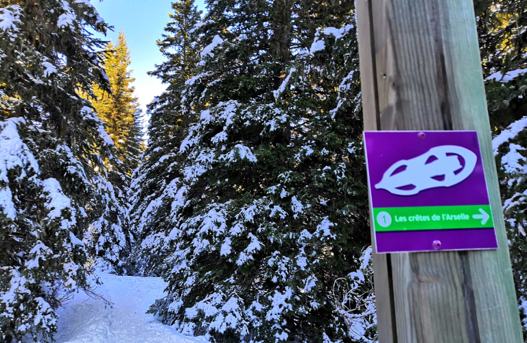 Photo sentier raquette  neige Crtes de l'Arselle Chamrousse