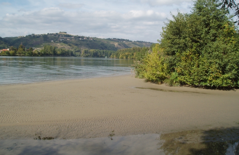 Espace Naturel Sensible de la forêt alluviale de Gerbey