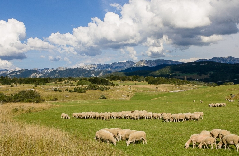 Traversée du Vercors