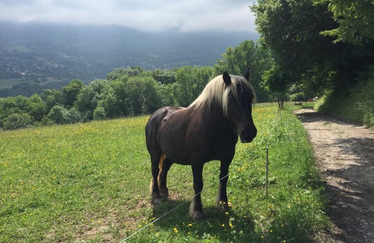 Ferme d&#039;Allicoud