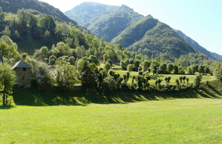 N°25 Le plat de Moulin Vieux VTT - Vert