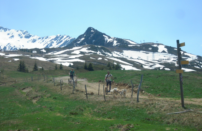 Mushing dans la vallée du Haut Bréda et au Pleynet