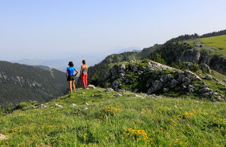 Trail " Col de Porte "