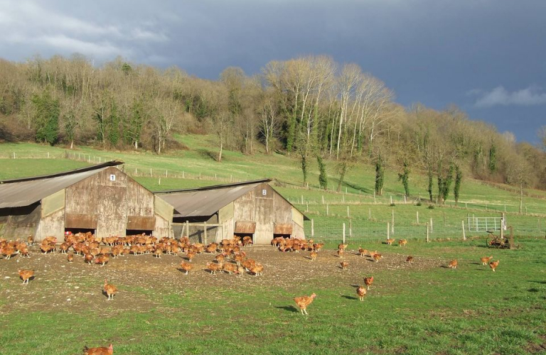 Ferme des Noirettes