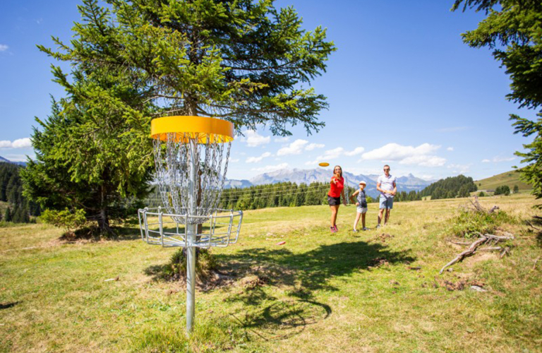 Frisbee golf image