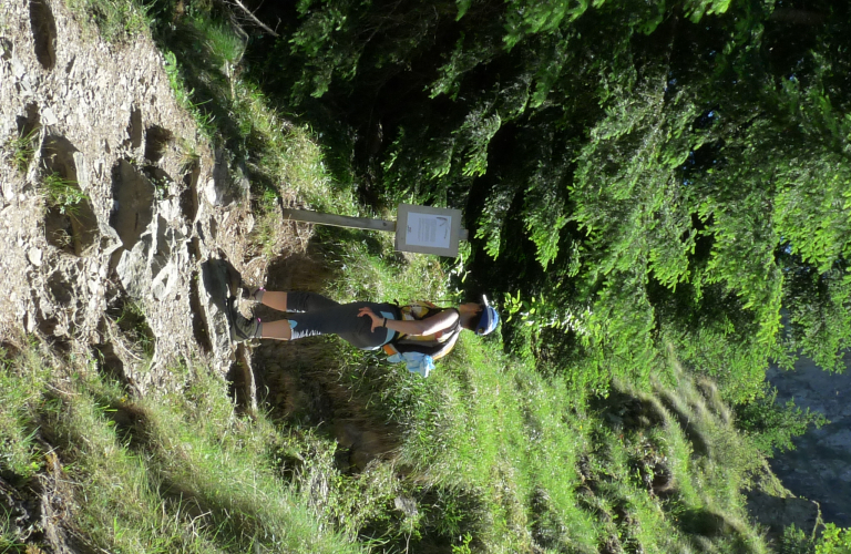 Balade cont chemin de l'alpe du pin