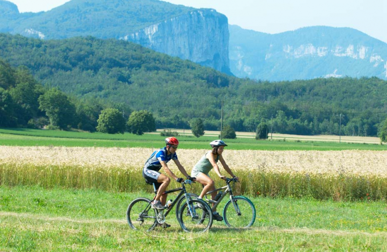 Base VTT Royans-Coulmes | Circuit 35 : Le Col de Romeyère