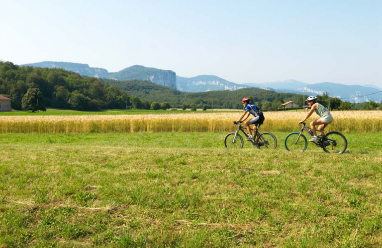 Base VTT Royans-Coulmes | Liaison 01 : Au départ de Saint-André-en-Royans