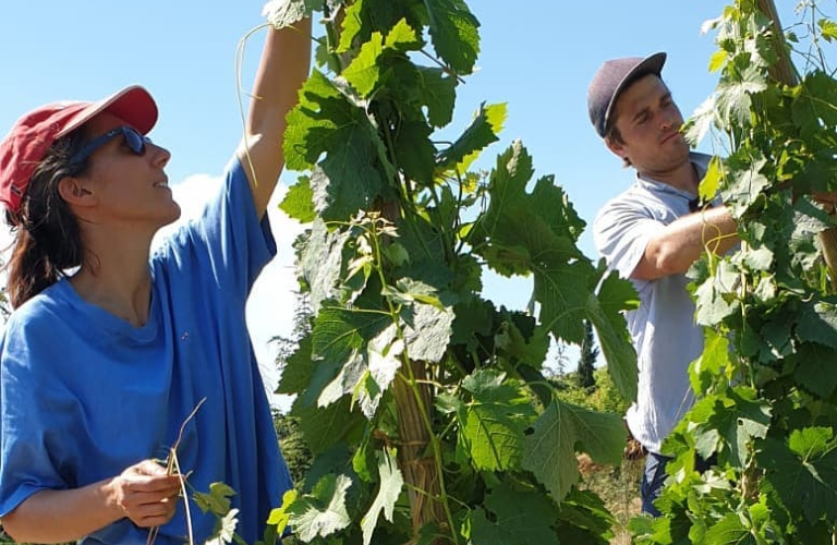 Domaine Eymin-Tichoux