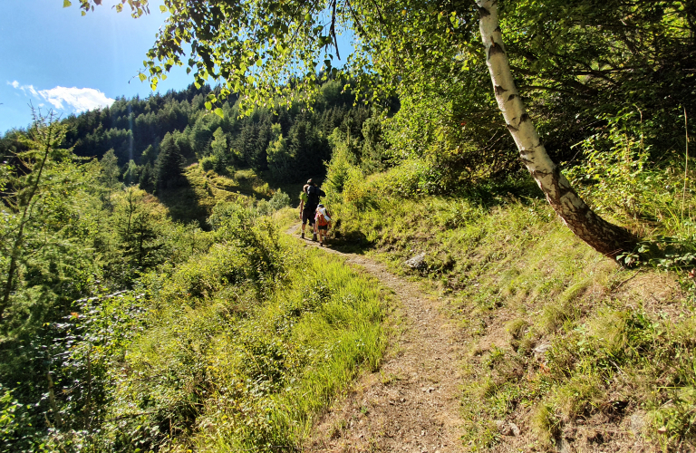 Grand Beau Rocher (depuis la route du col du Sabot) - Rando