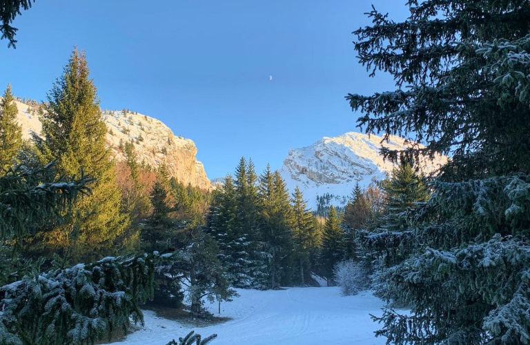 Le Canyon, itinéraire raquette