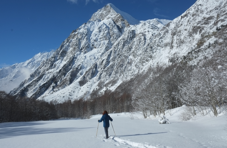 Des ours aux Chamois