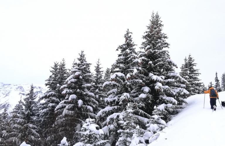 montee piste crocus vue sur la meige