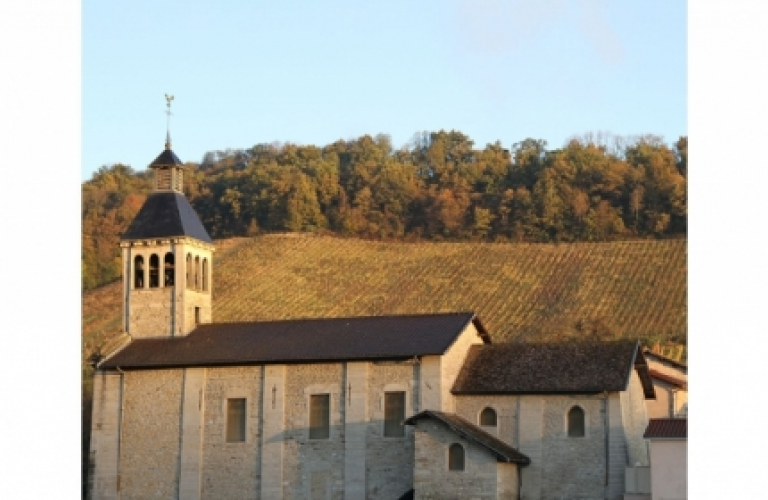 Eglise de Saint-Savin