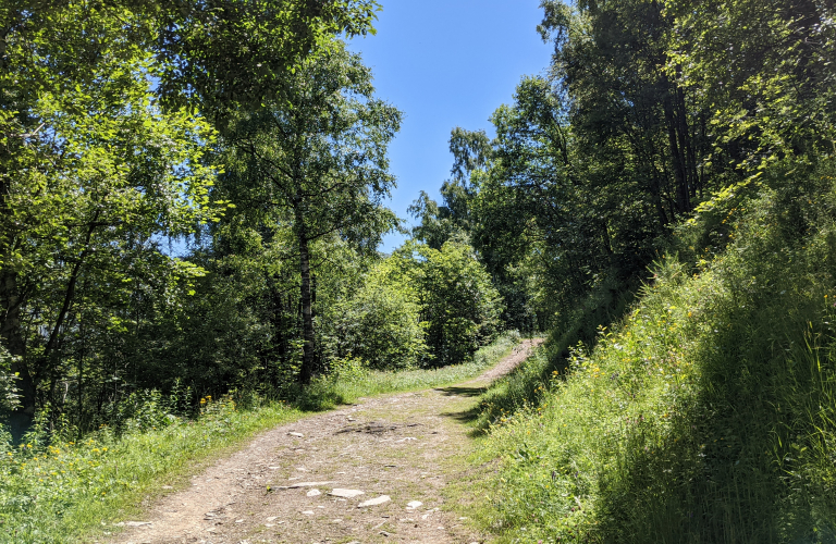 Trail - La Molière