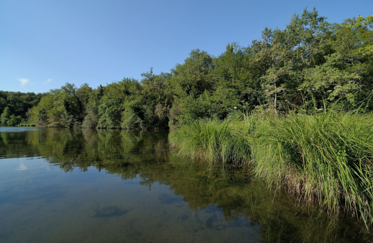 Espace Naturel Sensible de la Save : étang de Roche Plage et communaux de Thuile