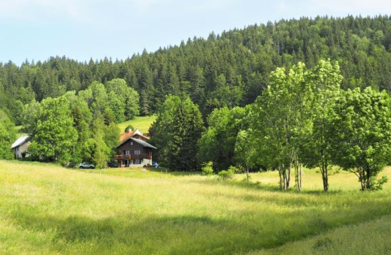 Chalet du grand frêne