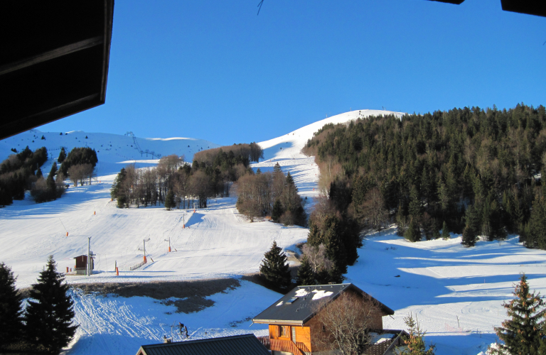 Vue du balcon face aux pistes