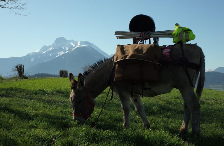 Randonnée et Bivouac avec des Anes - Séjour sans voiture