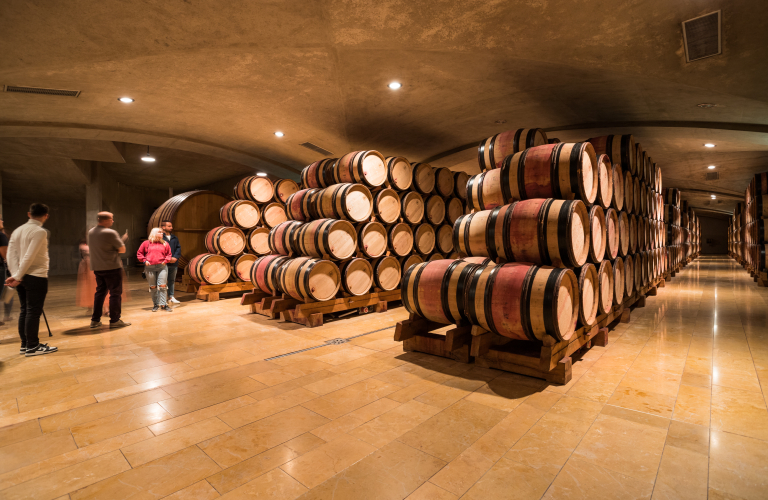 Dégustations de vins au Caveau du Château