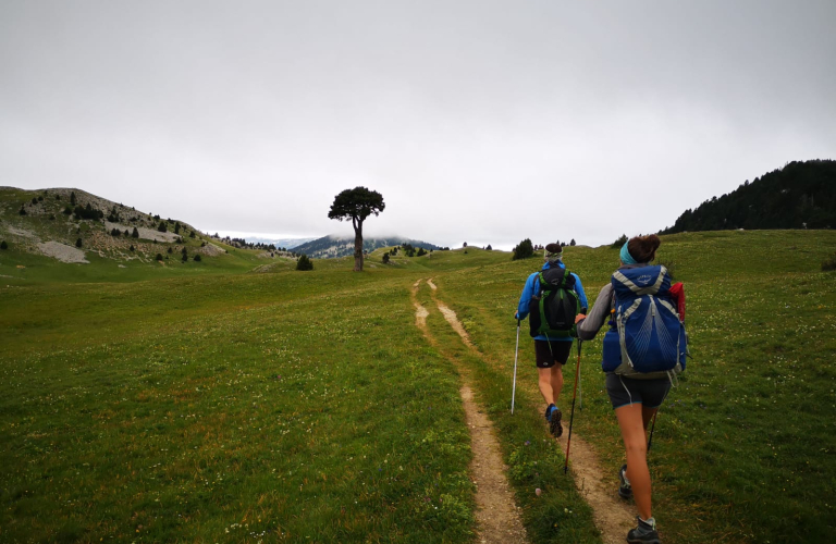 Randonnée accompagnée - À Fleurs de Montagne