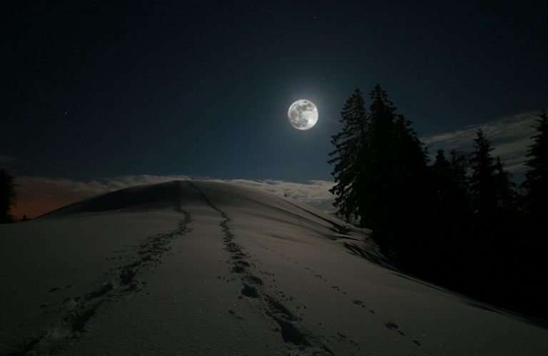 Snowshoeing at night