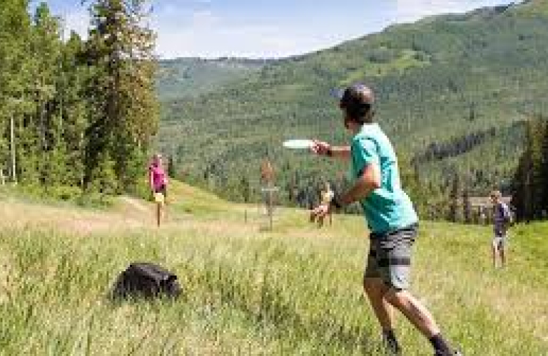 Frisbee golf image