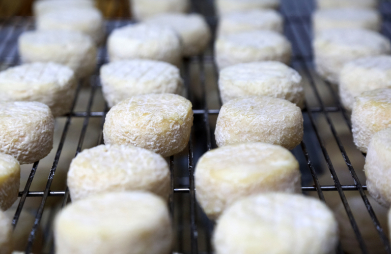 Les biquettes de Coco