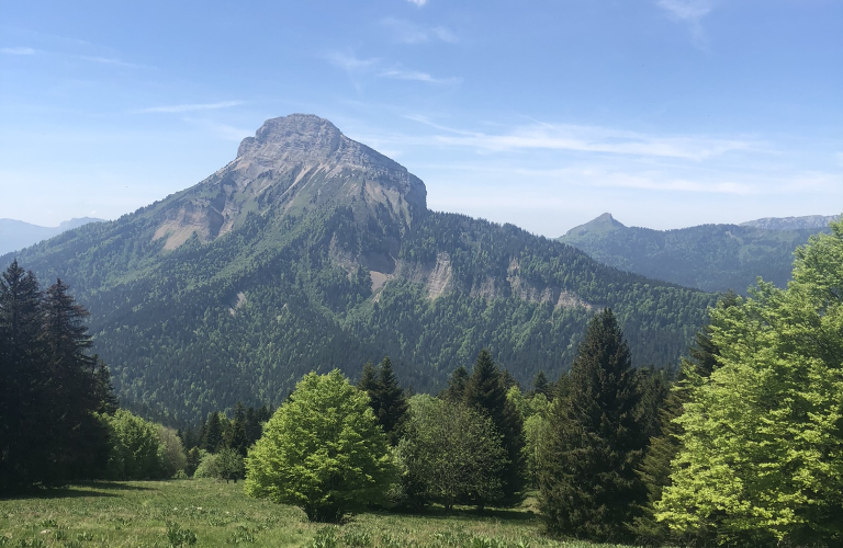 Boucle trail du Roc d&#039;Arguille