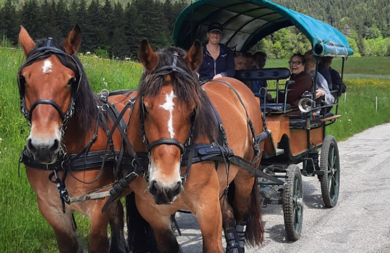 Balade en calèche à Autrans