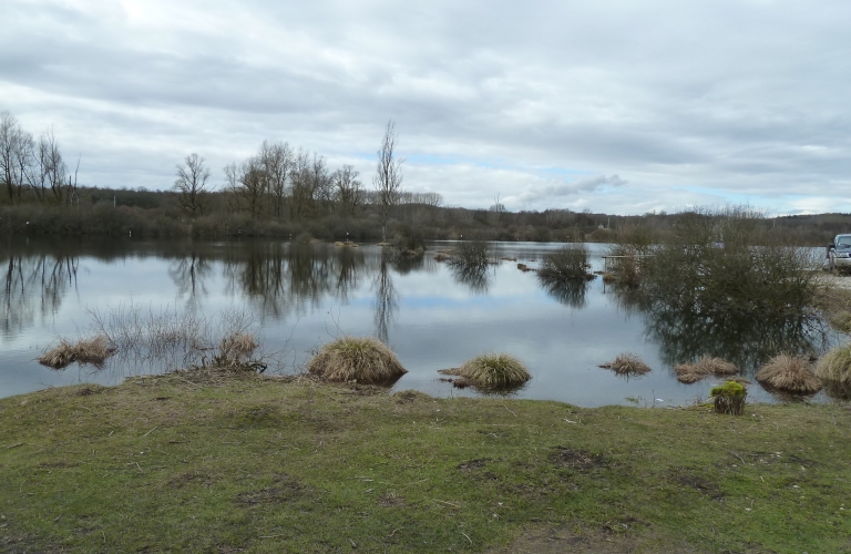 Pche  l'tang du Marais de Lancin