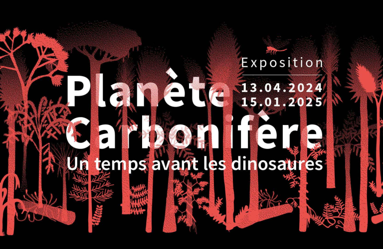 Planète Carbonifère - Un temps avant les dinosaures