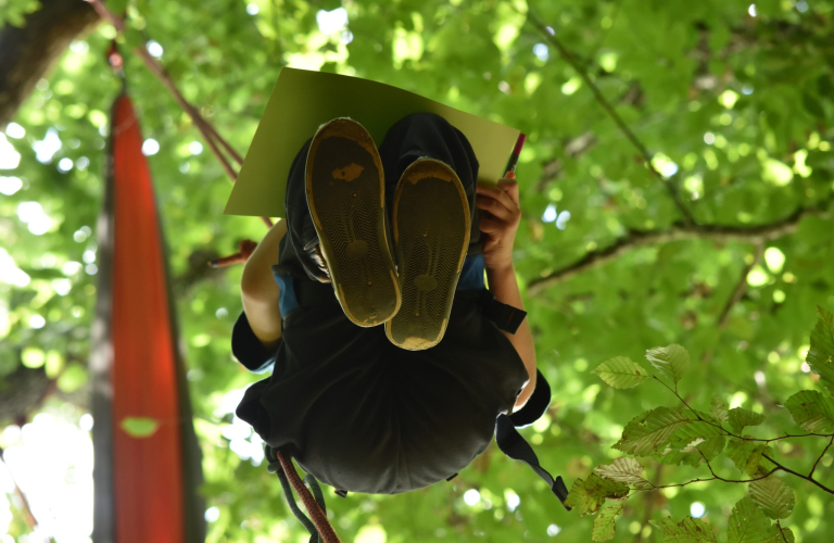 L&#039;aventure au sommet avec Rêve des Forêts