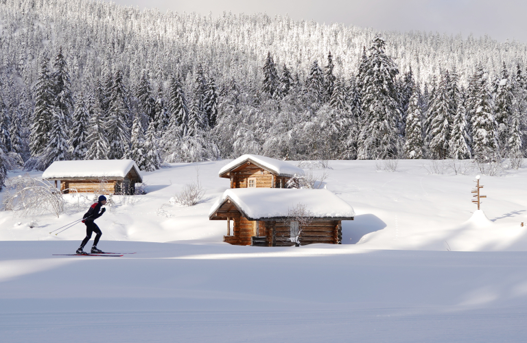 Les Chalets de Gève