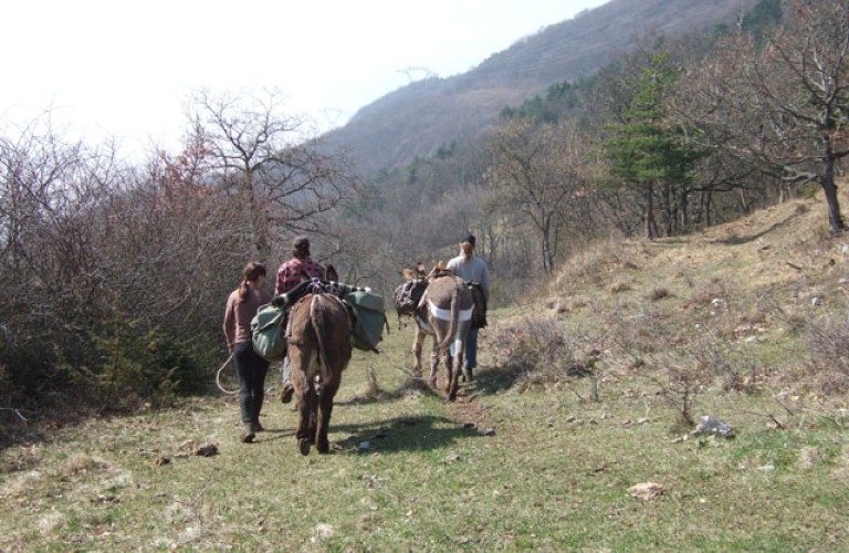 Domaine du Rocher Saint Loup