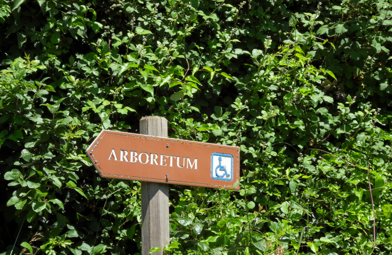 Arboretum