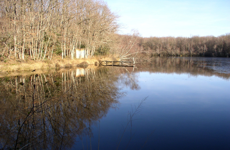 Etang Moule