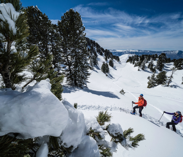 Ski de randonnée