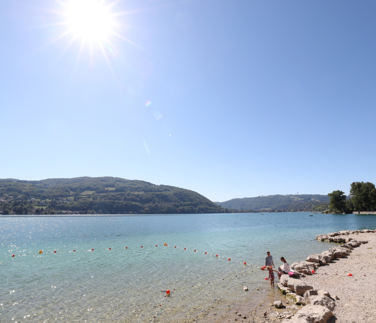 vue sur le lac rives sud depuis la plage du pin en pleine t. Ciel bleu et grand soleil.