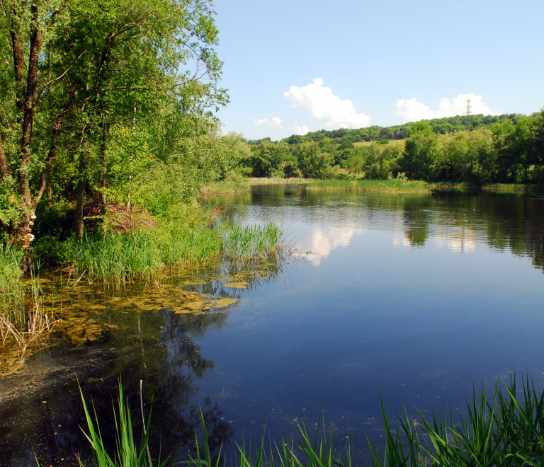 Réserve Naturelle de l’étang de Haute-Jarrie