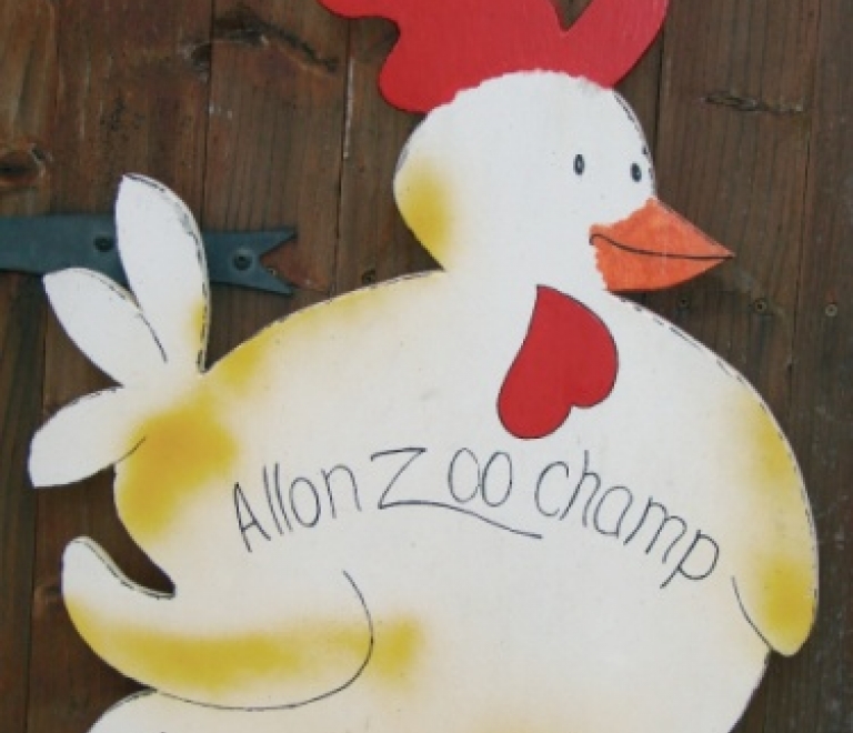 Visite de la ferme Allon Zoo Champ