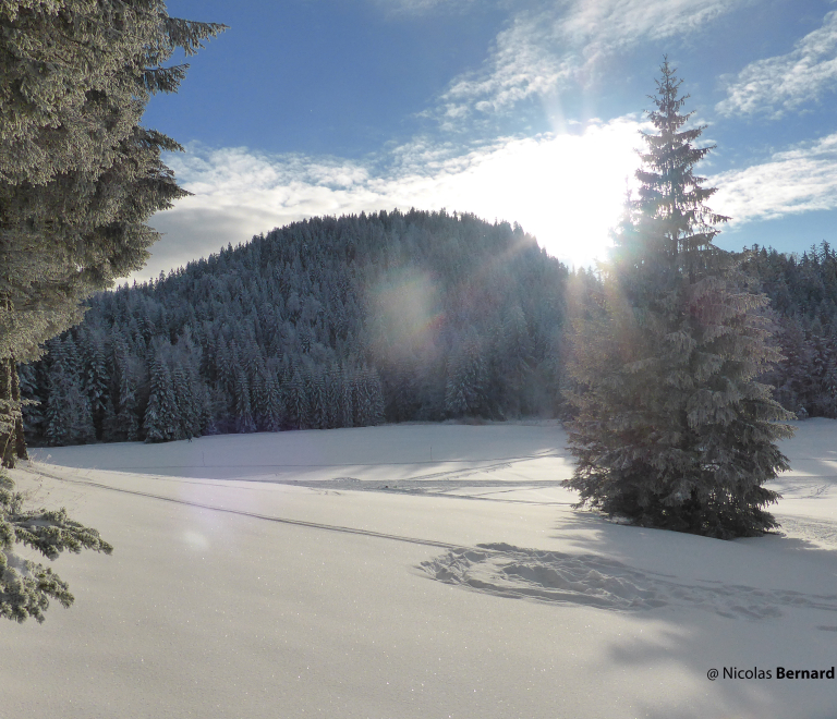 Les pistes de ski de fond