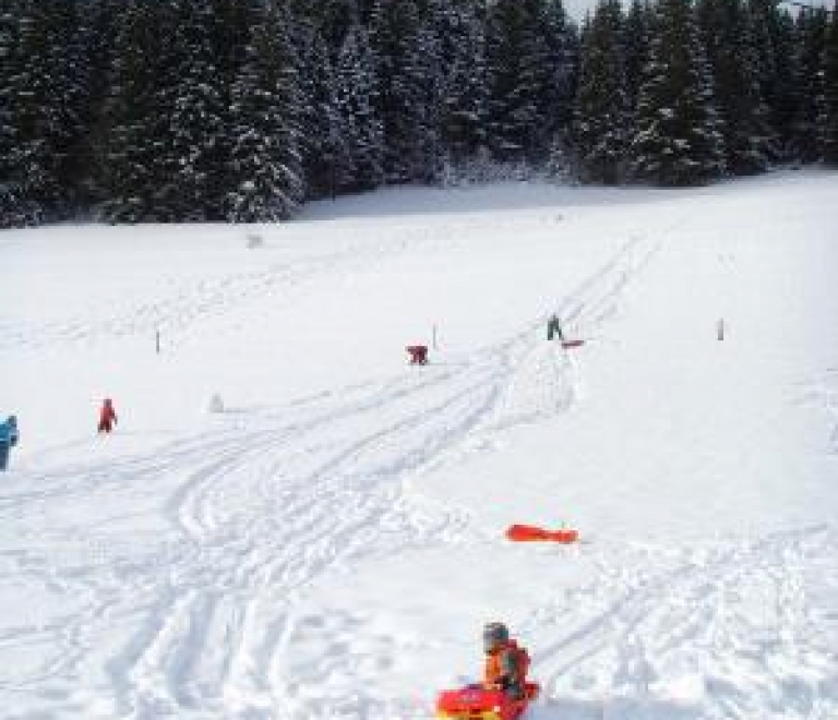 Piste de luge