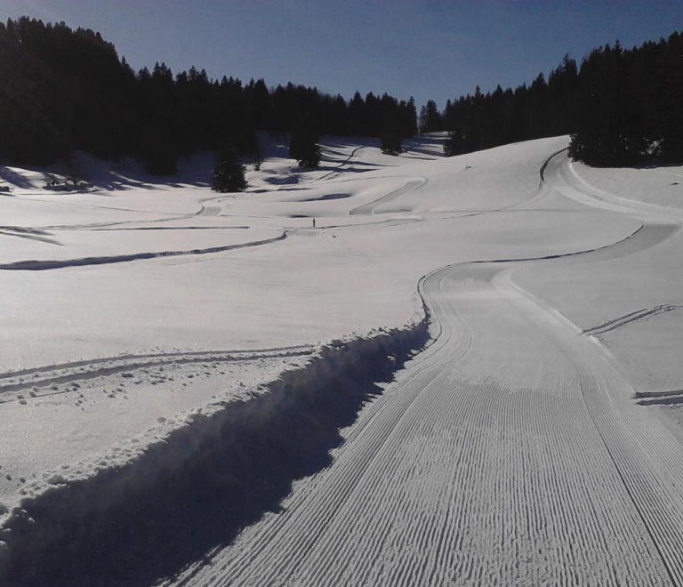 les pistes