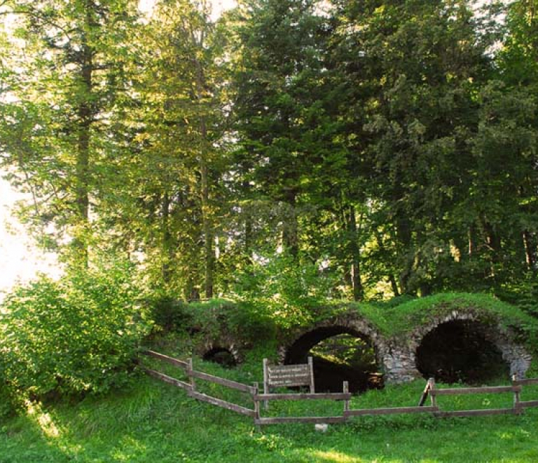 Ruines Chartreuse de Prmol Vaulnaveys le haut