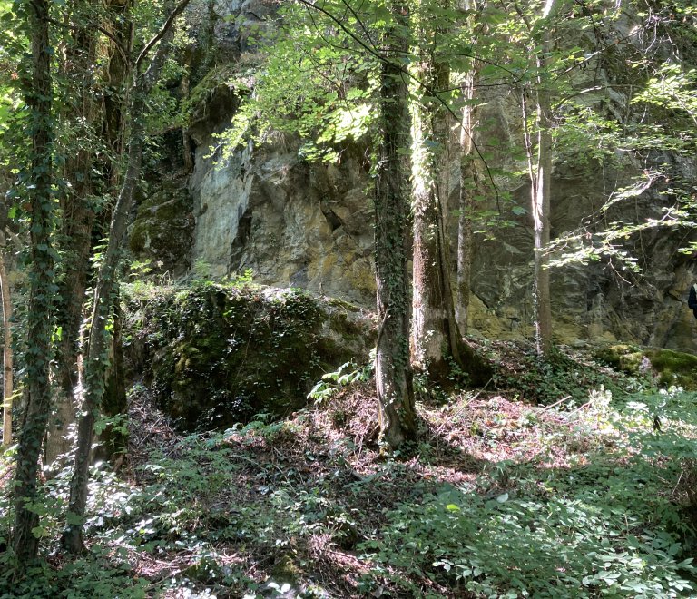 La voie romaine de Rochetaillée